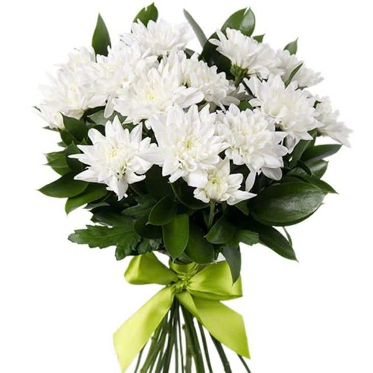 Мой сон от 7 200 руб.