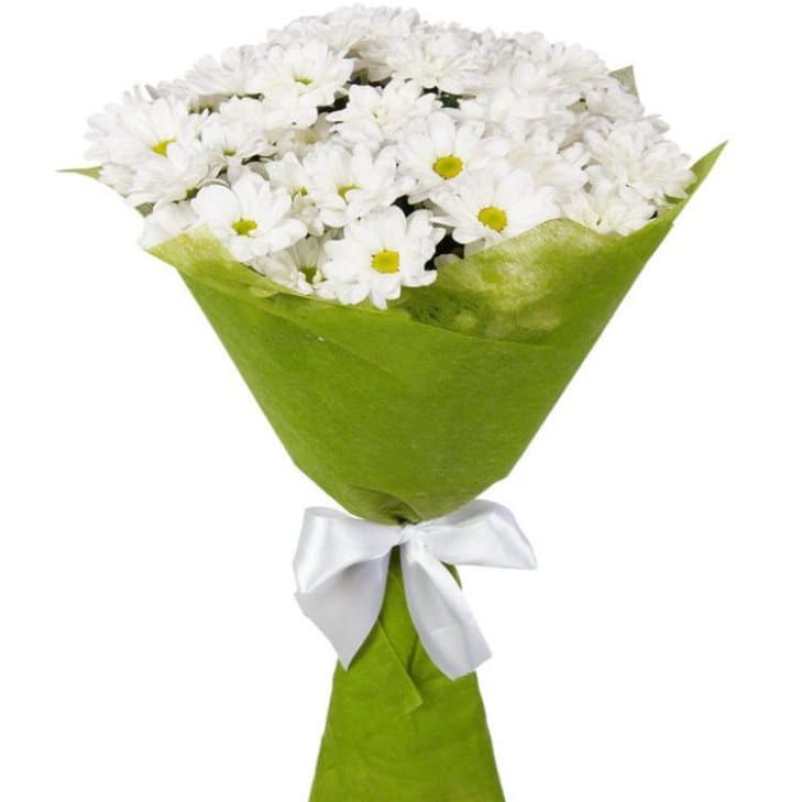 Белое облако от 5 800 руб.