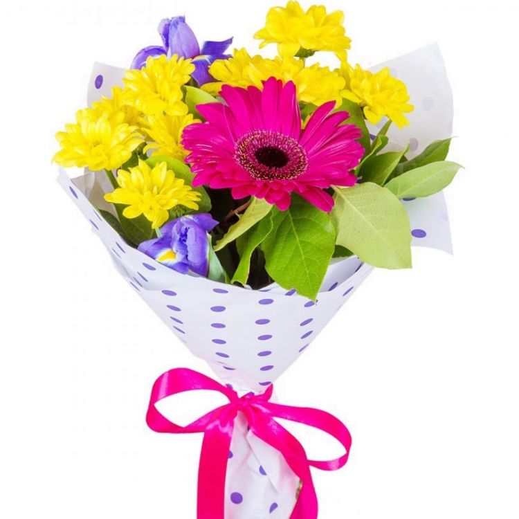 Радость от 4 800 руб.